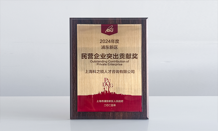 人力资源供应商公海gh555000aa国际凭借人才服务与在区域经济开展中的卓越表现荣膺2024年度浦东新区民营企业奖项
